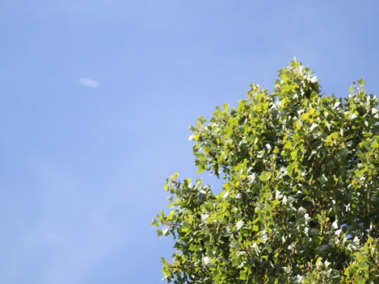 Lyon : 27°C attendus ce samedi