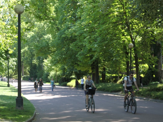 Lyon va planter des arbres pour ne pas subir le même climat qu'Alger d'ici 80 ans