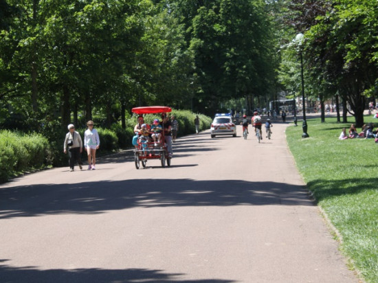 Le gérant des promenades de poneys du parc de la Tête d'Or  en garde à vue pour activités illégales