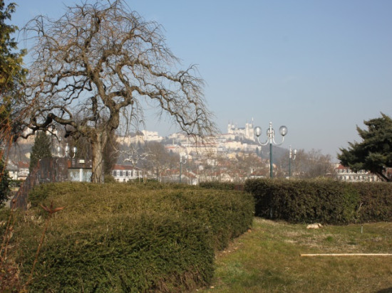 Un nouveau jardin partagé inauguré à Lyon