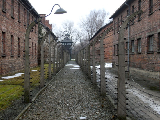 Lyon célèbre les 70 ans de la libération des camps