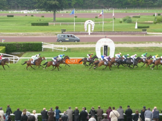 Bron : rendez-vous hippique dimanche avec le Grand Prix de Lyon Bron : rendez-vous hippique dimanche avec le Grand Prix de Lyon