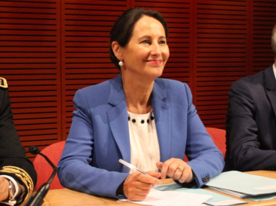 Problème technique pour le jet de Ségolène Royal avant de se poser à Bron