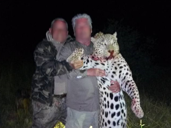 Safari-chasse : le groupe Faure "choqué par la teneur des images diffusées"