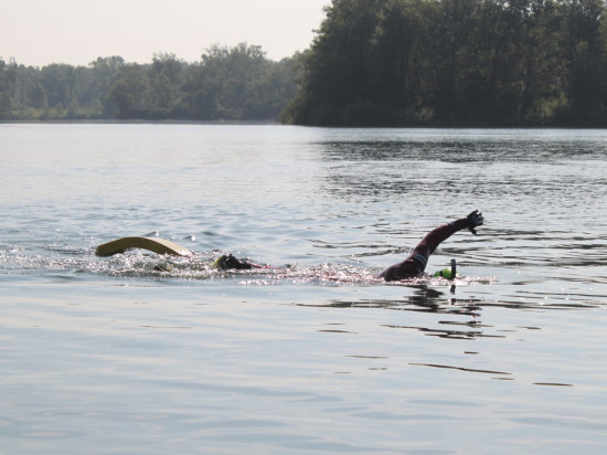 Bientôt de l'eau du Grand Parc de Miribel-Jonage dans votre Oasis