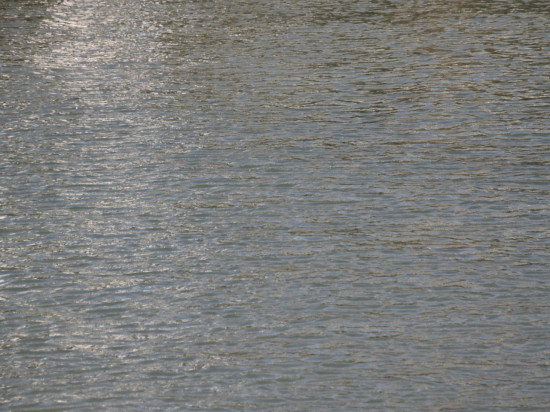 Auvergne-Rhône-Alpes : 52% des rivières sont en bon état écologique