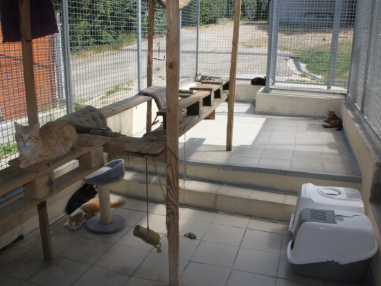 Il sera de nouveau possible d’adopter à la SPA