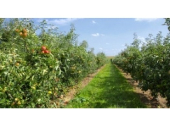 Près de 4 200 exploitations agricoles vont être recensées en Rhône-Alpes Près de 4 200 exploitations agricoles vont être recensées en Rhône-Alpes