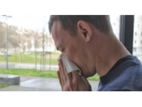 Rhône-Alpes : les allergies en force cette semaine Rhône-Alpes : les allergies en force cette semaine