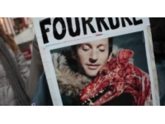 Une "journ&eacute;e sans fourrure" samedi &agrave; Lyon