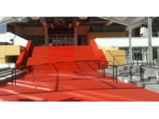 Cin&eacute;ma : la mont&eacute;e des marches de Cannes &agrave; suivre en direct sur grand &eacute;cran