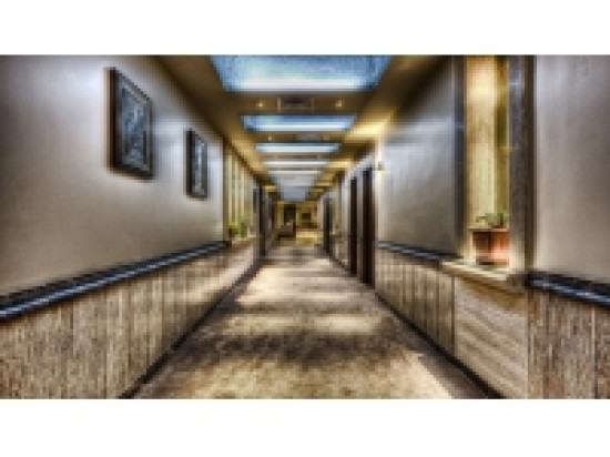 Lyon : progr&egrave;s important du secteur h&ocirc;telier en novembre