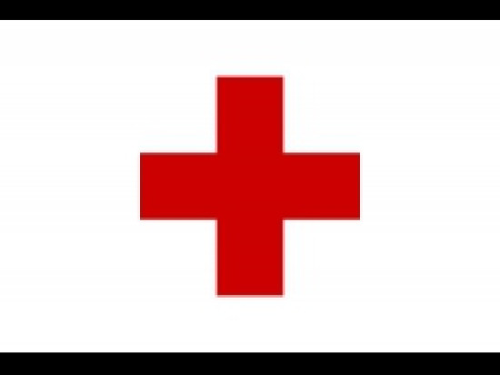 50 salariés de l'Institut régional de formation sanitaire et sociale de la Croix Rouge en grogne 50 salariés de l'Institut régional de formation sanitaire et sociale de la Croix Rouge en grogne