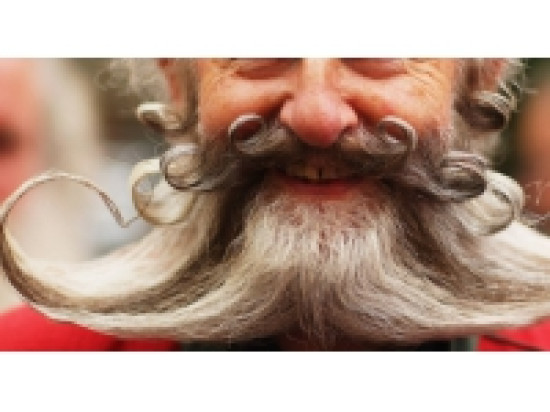 Lyon : le poil dans tous ses états au Parc de la Tête d'Or Lyon : le poil dans tous ses états au Parc de la Tête d'Or