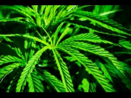 Est Lyonnais: 8 interpellations dans une affaire de drogue