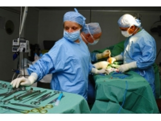 La 7e semaine nationale de mobilisation pour le don de moelle osseuse démarre La 7e semaine nationale de mobilisation pour le don de moelle osseuse démarre