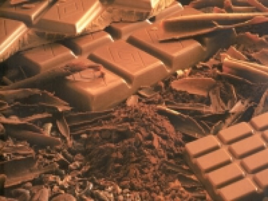 La première édition du Salon du chocolat de Lyon La première édition du Salon du chocolat de Lyon