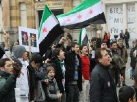 Les Syriens de Lyon mobilis&eacute;s place des Terreaux