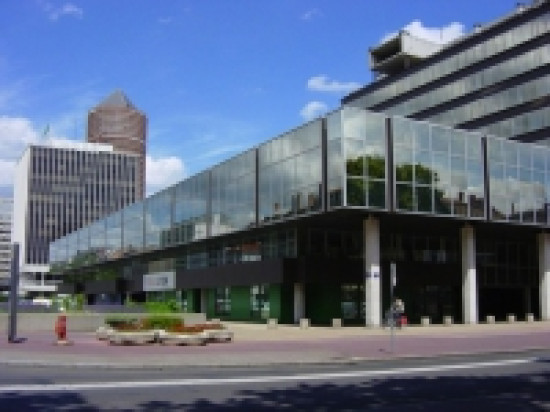 Les syndicats des éboueurs attendus au Grand Lyon