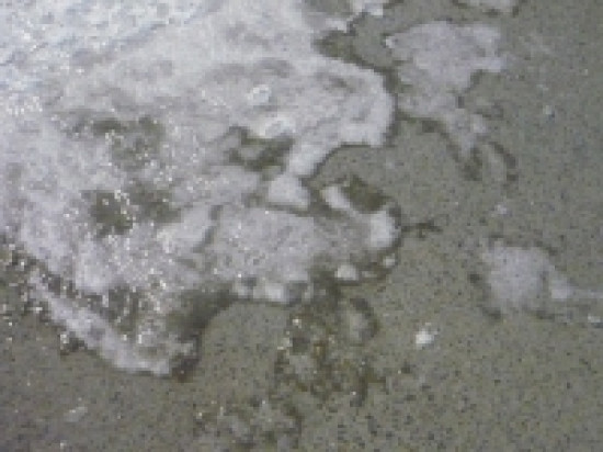 Lyon: premi&egrave;res gel&eacute;es attendues samedi matin