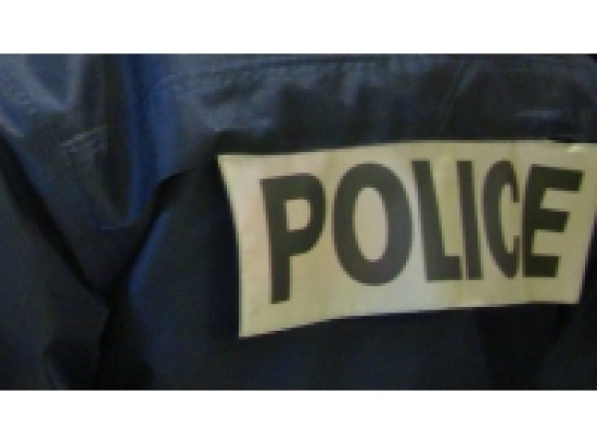 Présumé djihadiste, il aurait frotté sa belle-fille avec de la laine de verre Présumé djihadiste, il aurait frotté sa belle-fille avec de la laine de verre