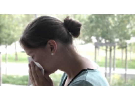 L'&eacute;pid&eacute;mie de grippe recule