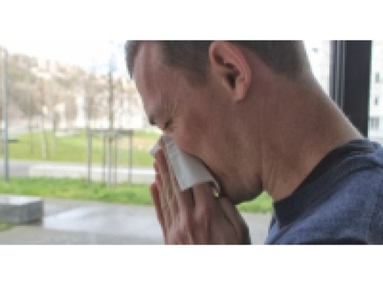 Plusieurs alertes polliniques dans le Rh&ocirc;ne