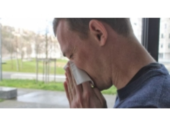 Lyon : les pollens de gramin&eacute;es encore bien pr&eacute;sents