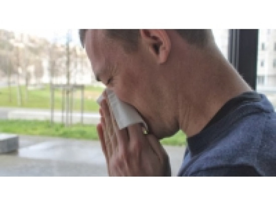 Rh&ocirc;ne : le risque toujours &eacute;lev&eacute; pour les gramin&eacute;es