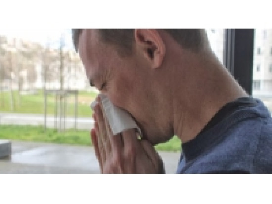 Rh&ocirc;ne : les pollens de gramin&eacute;es moins pr&eacute;sents