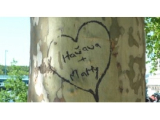 La Ville renouvelle son op&eacute;ration St Valentin