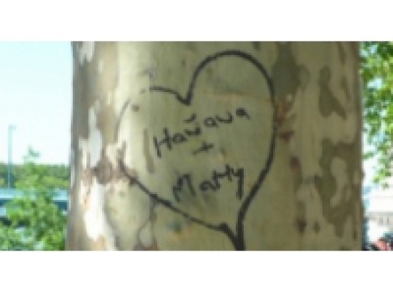 Saint-Valentin : d&icirc;tes-le sur les panneaux de la Ville de Lyon