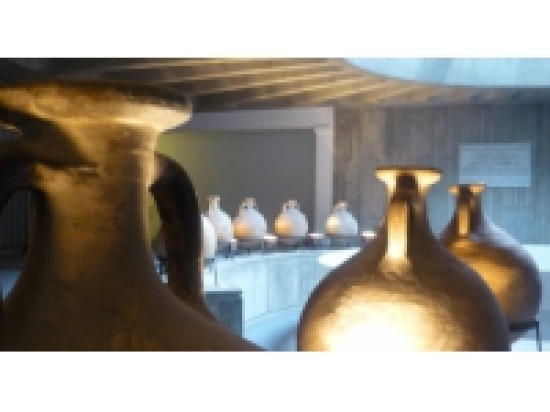 Lyon : le mus&eacute;e gallo-romain se r&eacute;invente