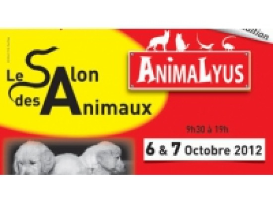 Anymalus f&ecirc;te ses 15 ans au Double Mixte &agrave; Villeurbanne