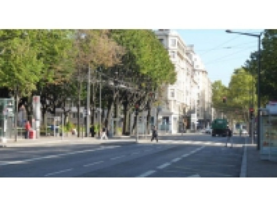 Le 7e arrondissement de Lyon f&ecirc;te ses 100 ans