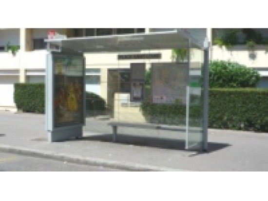 Lyon : les terreurs de l'arrêt de bus prises la main dans le sac