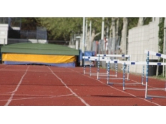 Deux Fran&ccedil;ais m&eacute;daill&eacute;s aux Mondiaux handisports de Lyon