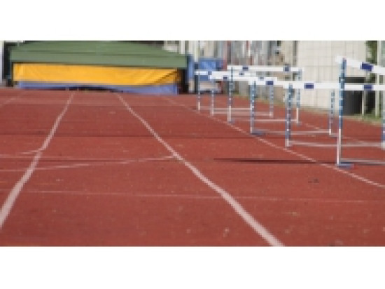 Mondiaux handisport &agrave; Lyon : Marie-Am&eacute;lie Le Fur en argent