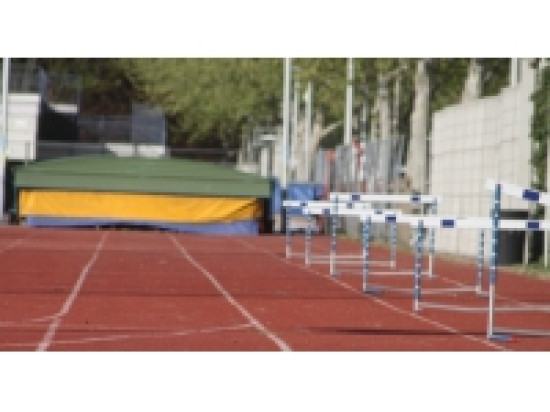 Mondiaux d'athl&eacute;tisme handisport &agrave; Lyon : trois m&eacute;dailles de plus pour la France