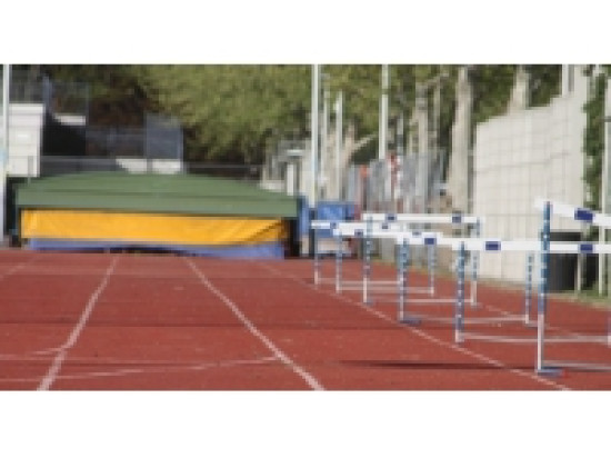 Mondiaux handisport de Lyon : une 2e m&eacute;daille pour Marie-Am&eacute;lie Le Fur
