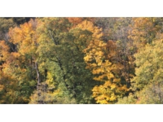 La Tour de Salvagny accueille la 3e &eacute;dition des Naturiales