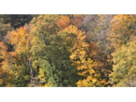 Une balade insolite dans le quartier de la Soie &agrave; Villeurbanne/Vaulx-en-Velin