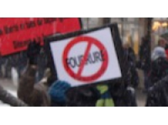 Lyon : ils vont parader à moitié nu contre la fourrure Lyon : ils vont parader à moitié nu contre la fourrure