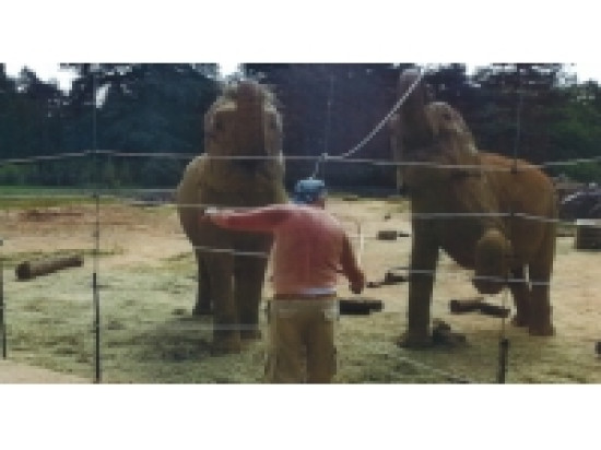 Baby et Nepal : le grand ouf de soulagement de Gilbert Edelstein