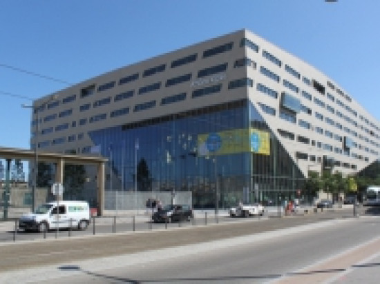 Lyon : 300 000 abeilles sur le toit de l'H&ocirc;tel de R&eacute;gion