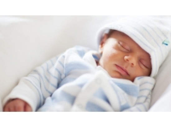 Lyon : une grande t&eacute;t&eacute;e ce dimanche au parc de la T&ecirc;te-d'Or