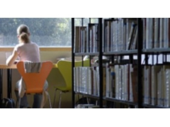 Une grève dans les bibliothèques municipales de Lyon Une grève dans les bibliothèques municipales de Lyon