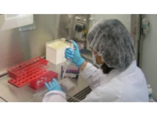 Eco : chiffre d'affaires en hausse pour Biom&eacute;rieux