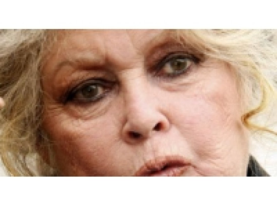 El&eacute;phants de Lyon : Brigitte Bardot s'estime m&eacute;pris&eacute;e par le gouvernement