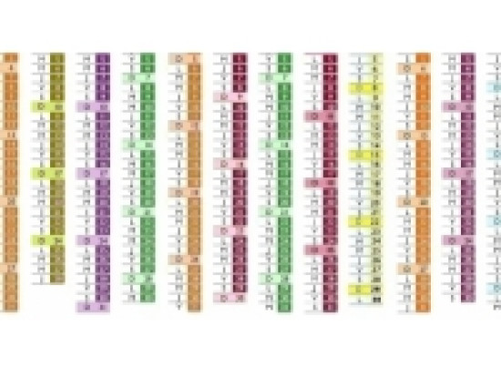 Gare aux faux vendeurs de calendriers &agrave; Lyon !